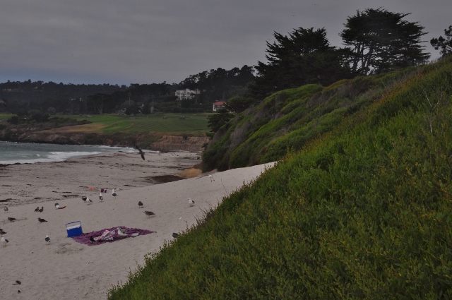 Carmel-by-the-Sea
